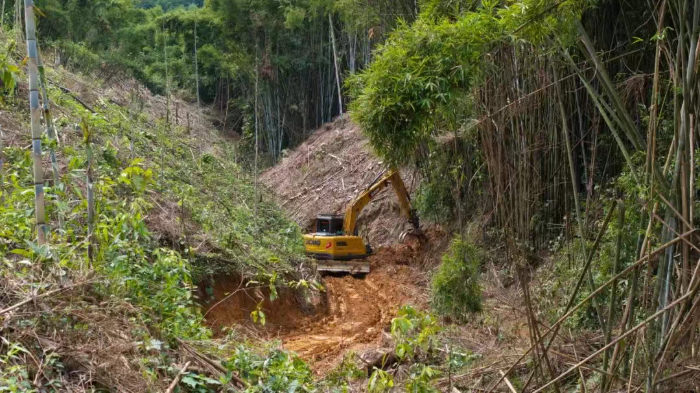 林间“藏龙”，竹海“卧虎”——FH至尊林业挖机广西侠客行