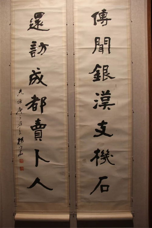 书之大者 杨守敬的书法艺术在武汉美术馆开幕